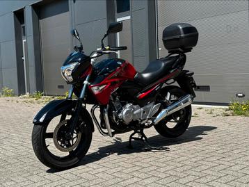 2015 Suzuki Inazuma 250, GW250, GW beschikbaar voor biedingen