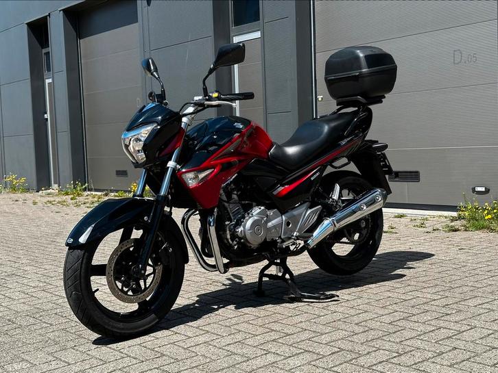 2015 Suzuki Inazuma 250, GW250, GW, Motoren, Motoren | Suzuki, Bedrijf, Naked bike, 12 t/m 35 kW, 2 cilinders, Ophalen