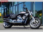 HARLEY-DAVIDSON V-ROD STREET ROD VRSCR  Inruil mogelijk!, Motoren, Motoren | Harley-Davidson, Bedrijf, Overig, 2 cilinders, 1131 cc