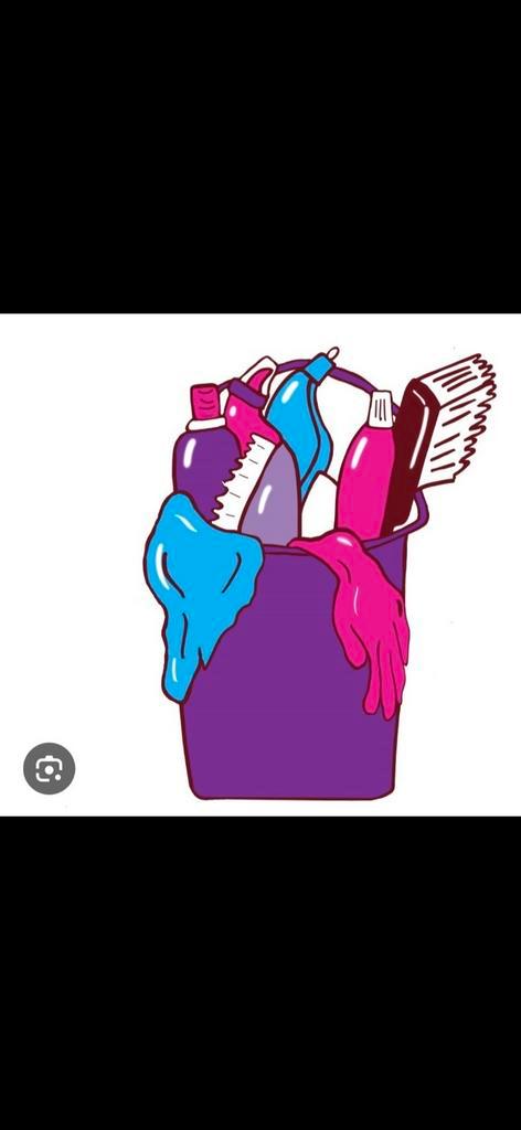 Huishoudelijke hulp aangeboden, Vacatures, Vacatures | Schoonmaak en Facilitaire diensten, Vanaf 10 jaar, Overige vormen