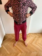 WE Soft Shell Jas Meisje Maat 148, Kleding | Dames, Jassen | Zomer, Ophalen of Verzenden, Zo goed als nieuw, Maat 34 (XS) of kleiner