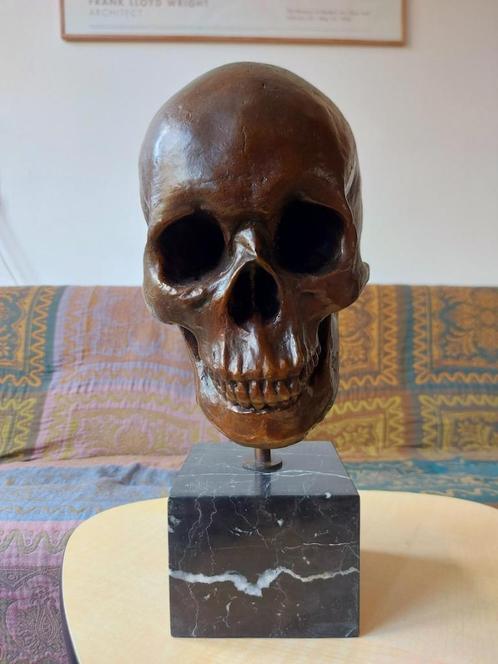 Prachtig Zwaar Bronzen Beeld Schedel Skull, Antiek en Kunst, Kunst | Beelden en Houtsnijwerken, Ophalen of Verzenden