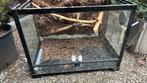 Terrarium met achterwand 60/45/45, Dieren en Toebehoren, Reptielen en Amfibieën | Toebehoren, Ophalen, Gebruikt, Terrarium of Paludarium