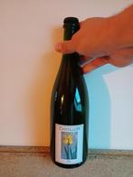 Cantillon - Iris 2025, Ophalen of Verzenden, Nieuw, Flesje(s), Overige merken