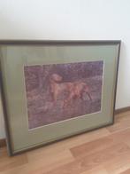 Vizsla schilderij, Ophalen of Verzenden