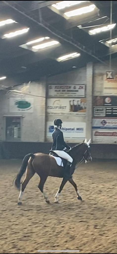 Verzorgster/Bijrijder aangeboden, Dieren en Toebehoren, Paarden en Pony's | Verzorgingsproducten, Nieuw, Ophalen