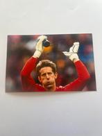 Gesigneerde foto's Van der Sar, Rijkaard, Lahm, Verzenden, Zo goed als nieuw, Overige sporten, Poster, Plaatje of Sticker