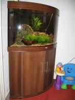 Juwel hoek aquarim 190 Liter, Ophalen, Gebruikt, Gevuld zoetwateraquarium