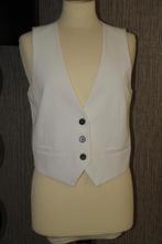 NIEUW! Mooi wit gilet van Costes, maat M!, Kleding | Dames, Maat 38/40 (M), Wit, Nieuw, Ophalen of Verzenden