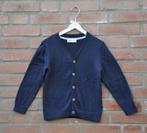 vest 110/116, cardigan 110,116, kinderkleding 110,116, Kinderen en Baby's, Kinderkleding | Maat 116, Trui of Vest, H&M, Nieuw