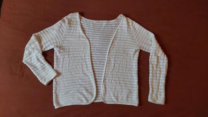 Wit gebreid vest maat M lange mouwen Only katoen, Kleding | Dames, Truien en Vesten, Zo goed als nieuw, Maat 38/40 (M), Wit, Ophalen of Verzenden