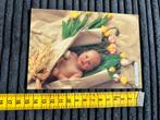 47. Kaart Anne Geddes Tulpen kind, Ophalen of Verzenden, Ongelopen