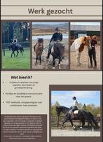werk als stalruiter gezocht omg den bosch, Ophalen of Verzenden, Zo goed als nieuw