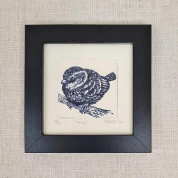 Ets vogel, musje, in zwarte lijst 10x10 cm beschikbaar voor biedingen