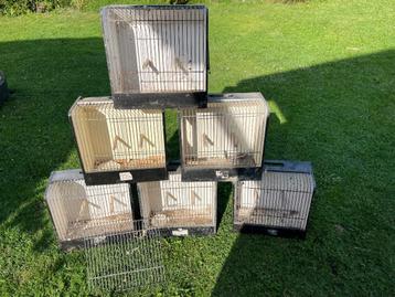 Vogel tentoonstellingskooien kanaries parkieten beschikbaar voor biedingen