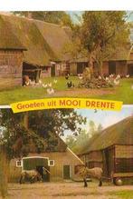 Ansichtkaart 	Drenthe	2-luik	Paarden	Kippen, Verzenden, 1960 tot 1980, Gelopen, Drenthe