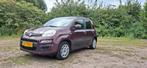 Fiat panda, Auto's, Voorwielaandrijving, Stof, Beige, Particulier