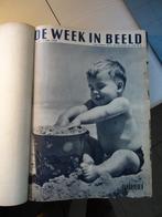De week in beeld 1950, Gelezen, 19e eeuw, Ophalen of Verzenden, Meerdere auteurs