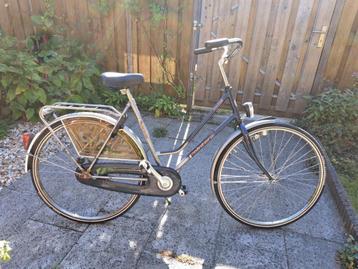Damesfiets, Pointer, stadsfiets, stationsfiets beschikbaar voor biedingen