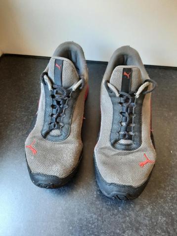 Heren / jongens schoenen Puma maat 40,5 ( L18 ) beschikbaar voor biedingen