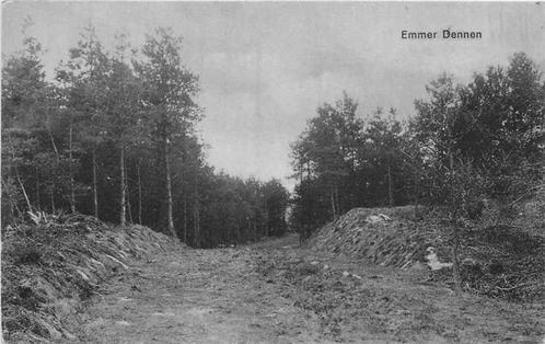 (380-274-021) Emmen Emmer Dennen, Verzamelen, Ansichtkaarten | Nederland, Drenthe, Verzenden