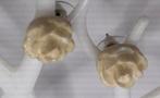 LEUKE ROOMKLEURIGE ROOSJES SET NIEUW, Ophalen of Verzenden, Nieuw, Overige materialen, Knopjes of Stekers