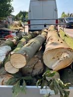 Vers gezaagde boomstammen 2,80m lang Kastanje en eik, Tuin en Terras, Haardhout, Minder dan 3 m³, Ophalen, Overige houtsoorten