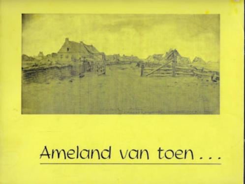 AMELAND van toen... - fotoboek begin 20ste eeuw, Boeken, Geschiedenis | Stad en Regio, Gelezen, 20e eeuw of later, Ophalen of Verzenden