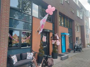 T.h.a. ooievaar op nest beschikbaar voor biedingen