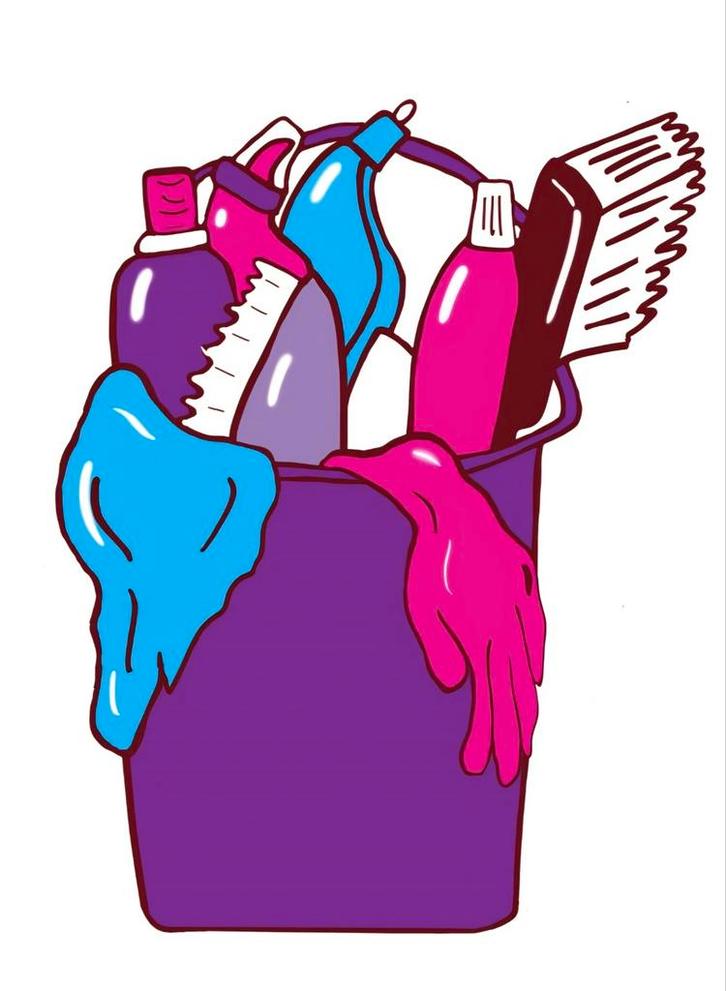 Huishoudelijke hulp gezocht, Vacatures, Vacatures | Schoonmaak en Facilitaire diensten, Overige niveaus, Starter, Overige vormen