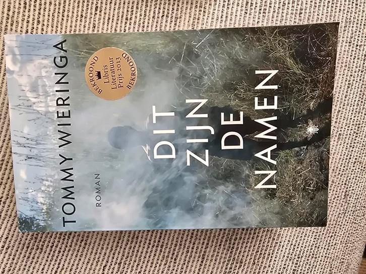 Tommy Wieringa - Dit zijn de namen, Boeken, Literatuur, Zo goed als nieuw, Ophalen of Verzenden