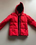 Nikki Meiden Skijack Maat 34 - Rood met Zwart, Ophalen of Verzenden, Zo goed als nieuw, Nikkie, Jack