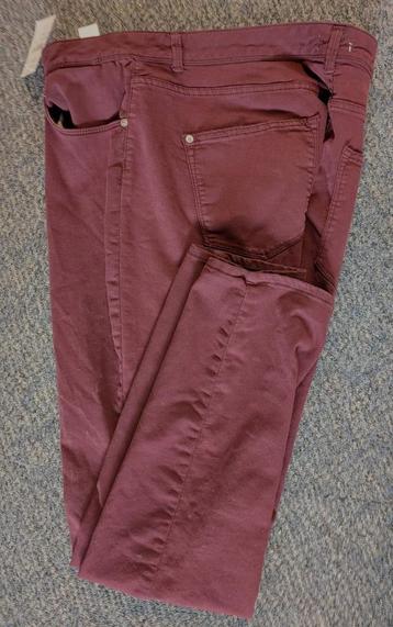 Bordeaurode dames broek maat 48 nieuw met label beschikbaar voor biedingen