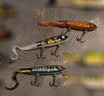 GEZOCHT!! Svartzonker Mctail Junior beschikbaar voor biedingen