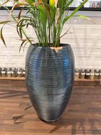 Planten pot donkergroen/blauw, Huis en Inrichting, Kamerplanten, Ophalen, Halfschaduw, Minder dan 100 cm