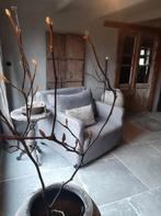 Raw stones dealer Noord Holland, Doe-het-zelf en Verbouw, Ophalen, Nieuw, Hout, 10 tot 30 cm
