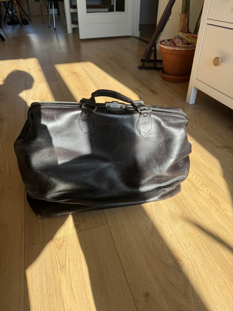 Bosboom Dokterstas Groot, Ophalen, 30 cm of meer, Zwart, Minder dan 35 cm