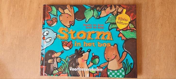 Storm in het bos - bijbelse avonturen, Boeken, Kinderboeken | Kleuters, Nieuw, 4 jaar, Jongen of Meisje, Voorleesboek, Ophalen of Verzenden