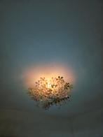 Bloemen plafonnière, Huis en Inrichting, Ophalen