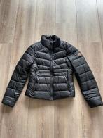 Nieuwe Superdry zwarte jas maat 38, Kleding | Dames, Jassen | Winter, Maat 38/40 (M), Superdry, Zwart, Nieuw