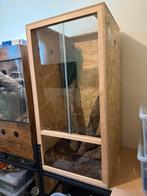 OSB Terrarium 120x60x60cm, Dieren en Toebehoren, Reptielen en Amfibieën | Toebehoren, Ophalen, Zo goed als nieuw, Terrarium of Paludarium