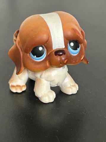 Littlest Pet Shop 76 Sint Bernard beschikbaar voor biedingen