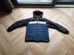 Bogner skijas maat 56, Blauw, Maat 56/58 (XL), Ophalen of Verzenden, Zo goed als nieuw