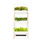 Click & Grow Smart Garden 27 pods + stand, Ophalen, Zo goed als nieuw, Minder dan 50 cm, Minder dan 5 flessen