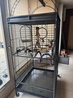 Papegaaien/vogel kooi, Dieren en Toebehoren, Ophalen, Zo goed als nieuw, Metaal, Vogelkooi