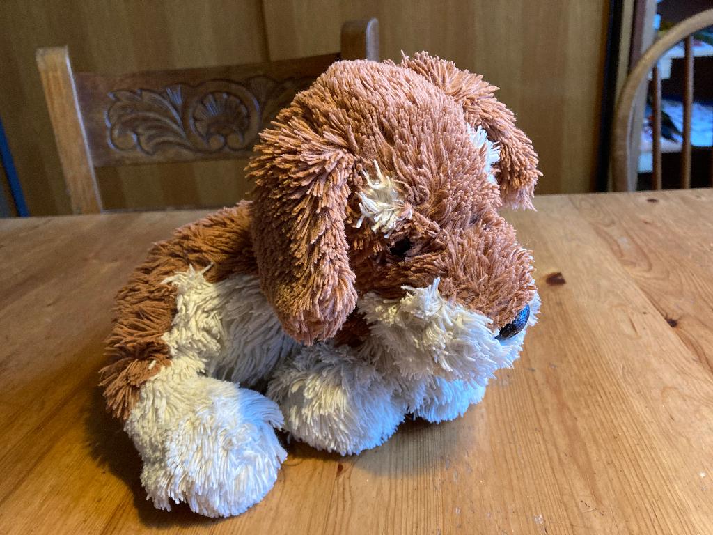Knuffel honden, Ophalen of Verzenden, Zo goed als nieuw, Hond