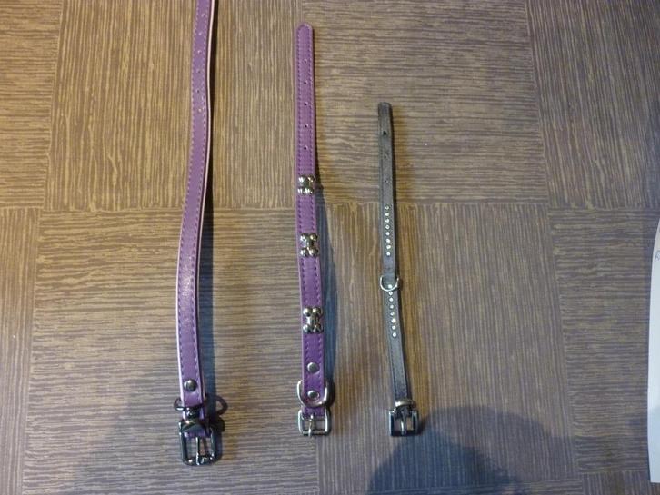 Halsband en tuigje voor de kleine hond., Dieren en Toebehoren, Overige Dieren-accessoires, Nieuw, Ophalen of Verzenden
