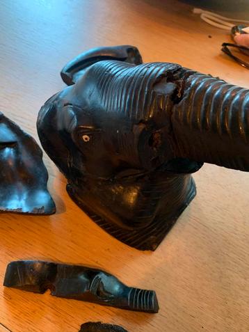 Ebbenhout 100% beschikbaar voor biedingen