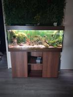 Aquarium juwel 240, Ophalen, Leeg aquarium
