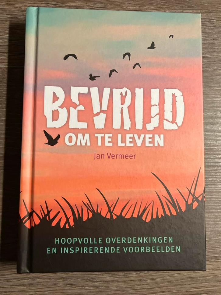 Bevrijd om te Leven - Jan Vermeer, Boeken, Godsdienst en Theologie, Nieuw, Christendom | Protestants, Ophalen of Verzenden